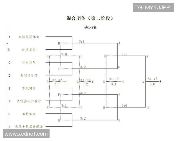 羽毛球赛事裁判判罚的公平性探讨与争议分析